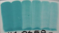 ENGOBA NILE GREEN 59ml