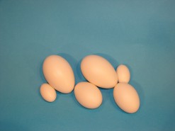 Fotografija proizvoda