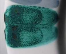 DEKORATIVNA BOJA BAKRENA A 100g