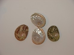 Fotografija proizvoda