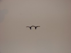 Fotografija proizvoda