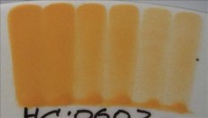 ENGOBA BRIGHT APRICOT 59 ml