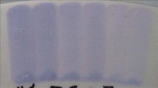 ENGOBA WISTERIA 59 ml