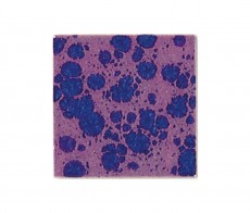 Botz glazura anemone 200ml