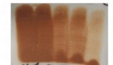 ENGOBA TERRA DI SIENA 59 ml