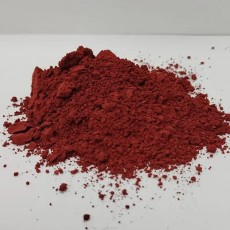KORALJNI PIGMENT 100 GR.